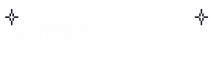 Cyber Academy